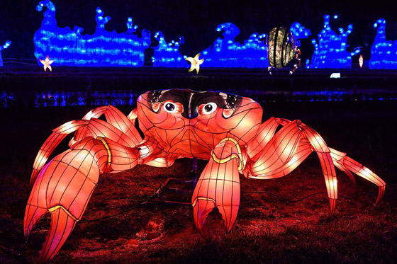 بالصور: مصابيح عملاقة على شكل حيوانات بحرية تتلألأ في باريس صورة رقم 14