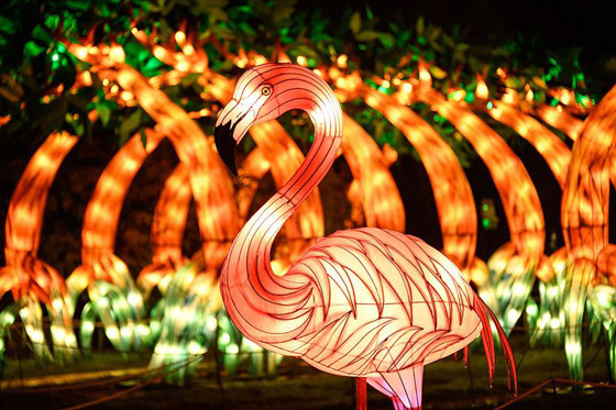 بالصور: مصابيح عملاقة على شكل حيوانات بحرية تتلألأ في باريس صورة رقم 15
