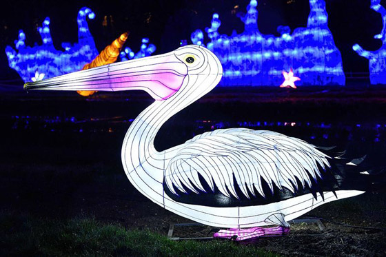 بالصور: مصابيح عملاقة على شكل حيوانات بحرية تتلألأ في باريس صورة رقم 16