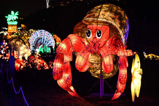 بالصور: مصابيح عملاقة على شكل حيوانات بحرية تتلألأ في باريس صورة رقم 19