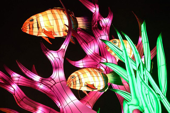 بالصور: مصابيح عملاقة على شكل حيوانات بحرية تتلألأ في باريس صورة رقم 21