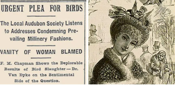 طيور في القبعة.. وأغرب صيحات الموضة في العصر الفيكتوري صورة رقم 4