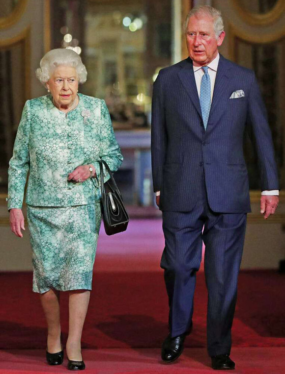 الملكة إليزابيث تستعد للتنازل عن عرش بريطانيا لابنها الأمير تشارلز! صورة رقم 10