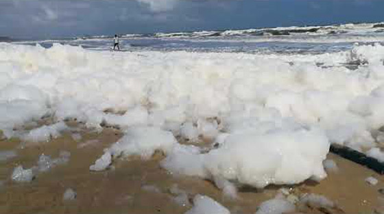 فيديو وصور: رغوة بيضاء غامضة تغطي أشهر شواطئ الهند! صورة رقم 2