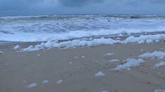 فيديو وصور: رغوة بيضاء غامضة تغطي أشهر شواطئ الهند! صورة رقم 4