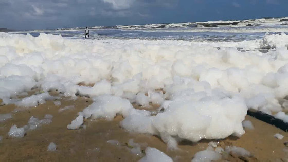 فيديو وصور: رغوة بيضاء غامضة تغطي أشهر شواطئ الهند! صورة رقم 8