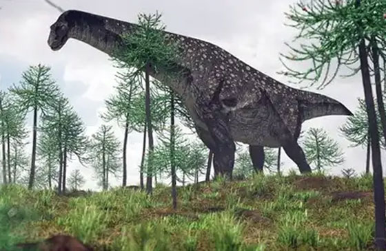 قبل الانقراض.. تعرف على أكبر 5 ديناصورات في العالم صورة رقم 2