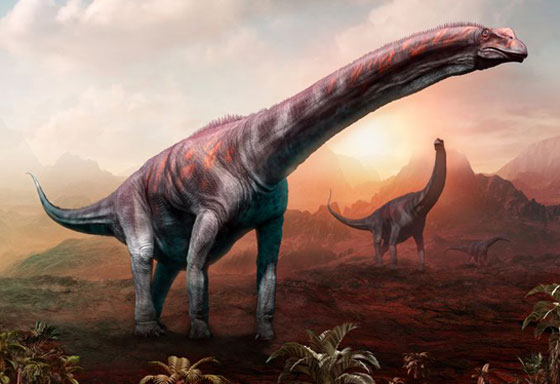 قبل الانقراض.. تعرف على أكبر 5 ديناصورات في العالم صورة رقم 3