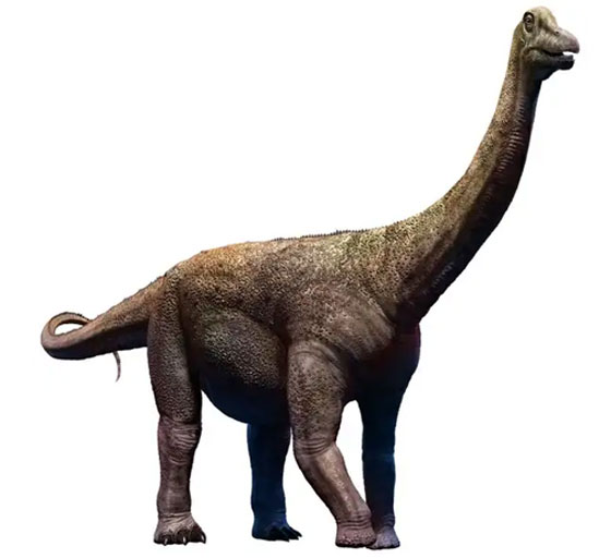 قبل الانقراض.. تعرف على أكبر 5 ديناصورات في العالم صورة رقم 4