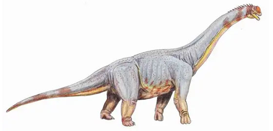 قبل الانقراض.. تعرف على أكبر 5 ديناصورات في العالم صورة رقم 5