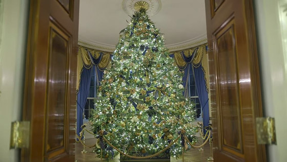 سيدة أمريكا الأولى تحطم الرقم القياسي لأكثر عدد أشجار عيد الميلاد! صورة رقم 3