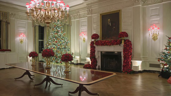 سيدة أمريكا الأولى تحطم الرقم القياسي لأكثر عدد أشجار عيد الميلاد! صورة رقم 7