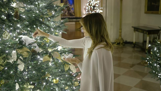 سيدة أمريكا الأولى تحطم الرقم القياسي لأكثر عدد أشجار عيد الميلاد! صورة رقم 10