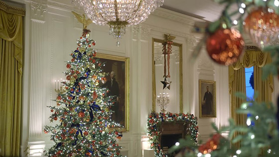 سيدة أمريكا الأولى تحطم الرقم القياسي لأكثر عدد أشجار عيد الميلاد! صورة رقم 12