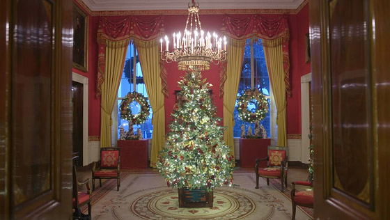 سيدة أمريكا الأولى تحطم الرقم القياسي لأكثر عدد أشجار عيد الميلاد! صورة رقم 13