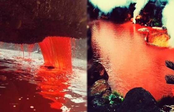 بالصور: تعرفوا إلى بركة الدم في مدينة الجحيم السحرية في اليابان صورة رقم 13