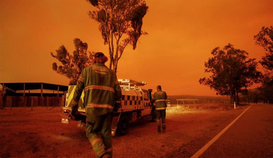 فيديو مؤثر.. كنغر يحتضن امرأة أنقذته من حرائق أستراليا صورة رقم 10