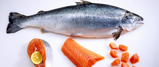 فوائد تناول الأسماك والمأكولات البحرية على الجسم صورة رقم 1