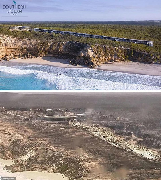 صورٌ مؤسفة تُظهر الحجم الحقيقي للدمار الذي سببته حرائق الغابات الأسترالية صورة رقم 7