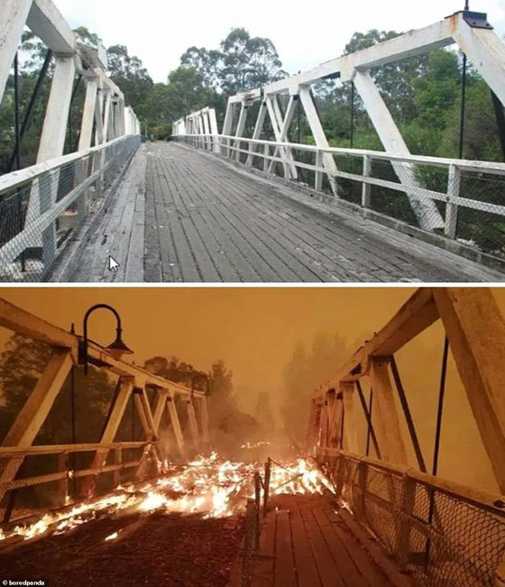 صورٌ مؤسفة تُظهر الحجم الحقيقي للدمار الذي سببته حرائق الغابات الأسترالية صورة رقم 8