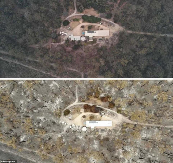 صورٌ مؤسفة تُظهر الحجم الحقيقي للدمار الذي سببته حرائق الغابات الأسترالية صورة رقم 9