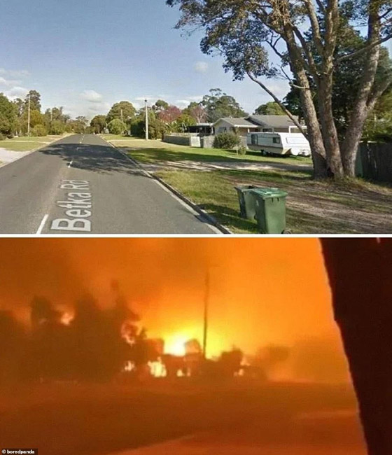صورٌ مؤسفة تُظهر الحجم الحقيقي للدمار الذي سببته حرائق الغابات الأسترالية صورة رقم 12