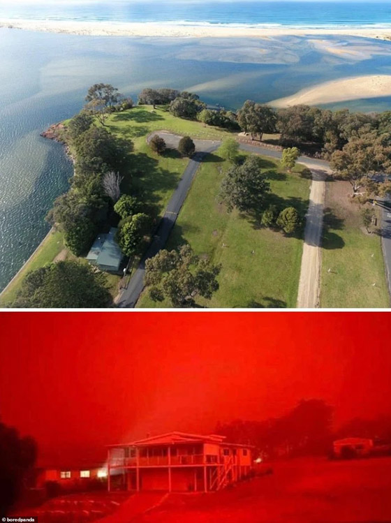 صورٌ مؤسفة تُظهر الحجم الحقيقي للدمار الذي سببته حرائق الغابات الأسترالية صورة رقم 13