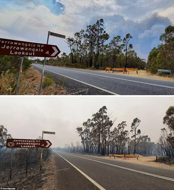 صورٌ مؤسفة تُظهر الحجم الحقيقي للدمار الذي سببته حرائق الغابات الأسترالية صورة رقم 2