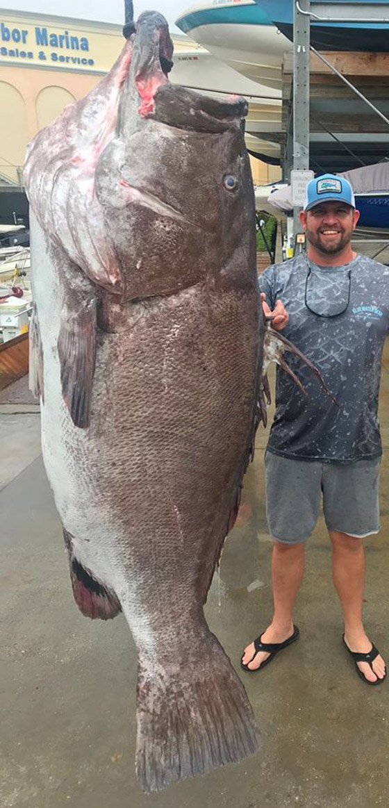 بالصور: العثور على أكبر سمكة سنا وضخامة في العالم صورة رقم 2