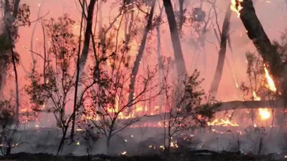 عواصف رعدية بأستراليا تحيي آمال الملايين حول العالم في إطفاء الحرائق صورة رقم 1