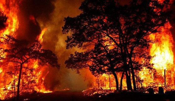 عواصف رعدية بأستراليا تحيي آمال الملايين حول العالم في إطفاء الحرائق صورة رقم 8