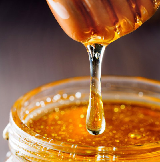 علماء: العسل يتفوق على المضادات الحيوية في علاج هذه الأمراض صورة رقم 2