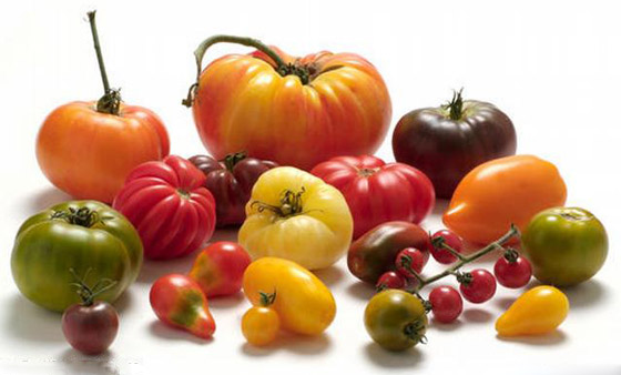 الطماطم أو البندورة.. استعمالات مختلفة وفوائد غذائية وصحية عدة صورة رقم 7