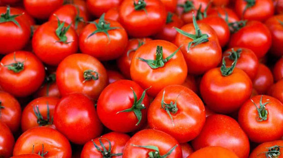 الطماطم أو البندورة.. استعمالات مختلفة وفوائد غذائية وصحية عدة صورة رقم 8