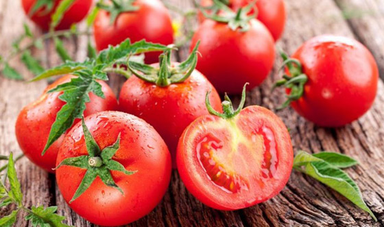 الطماطم أو البندورة.. استعمالات مختلفة وفوائد غذائية وصحية عدة صورة رقم 12