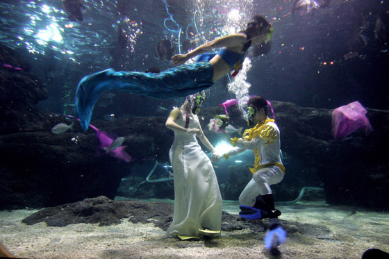 أجمل صور وفيديوهات الزفاف تحت الماء.. بينها فيديو عرس مصري!  صورة رقم 12