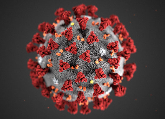 فيروس كورونا: التفشي بلغ مرحلة حرجة وقد يتحول إلى وباء شامل! صورة رقم 30