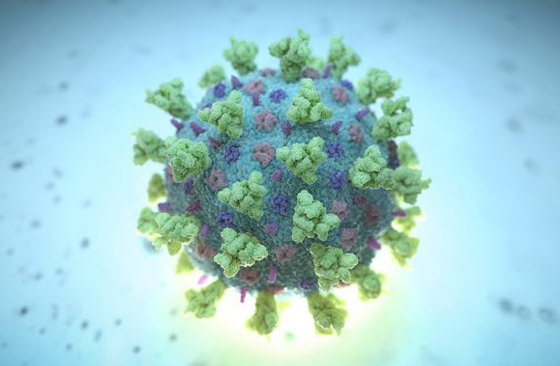 فيروس كورونا: التفشي بلغ مرحلة حرجة وقد يتحول إلى وباء شامل! صورة رقم 9