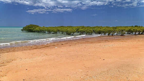 العلماء يتوقعون اختفاء نصف الشواطئ الرملية بحلول عام 2100! صورة رقم 5