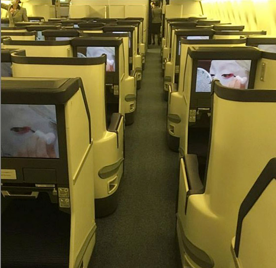 مسافرون يشاركون لقطات لرحلاتهم في طائرات شبه خالية بسبب كورونا صورة رقم 4