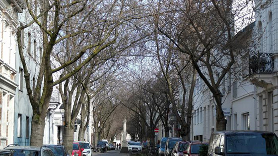 الربيع يواسينا رغم كورونا: إزهار أشجار الكرز في مدينة بون الألمانية صورة رقم 3