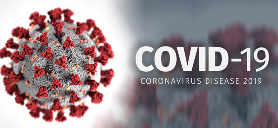 خلال أيام.. إصابات فيروس كورونا تتجاوز المليون وعدد الوفيات 50 ألفا صورة رقم 7
