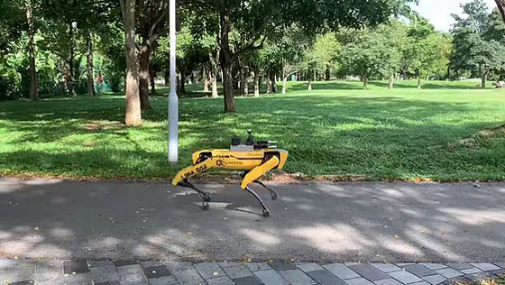 كلب آلي يتجول في متنزهات سنغافورة لحث الناس على التباعد الاجتماعي صورة رقم 2