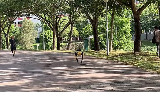 كلب آلي يتجول في متنزهات سنغافورة لحث الناس على التباعد الاجتماعي صورة رقم 3