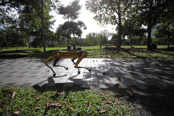 كلب آلي يتجول في متنزهات سنغافورة لحث الناس على التباعد الاجتماعي صورة رقم 5