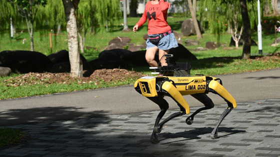 كلب آلي يتجول في متنزهات سنغافورة لحث الناس على التباعد الاجتماعي صورة رقم 8