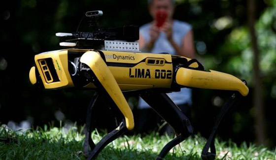 كلب آلي يتجول في متنزهات سنغافورة لحث الناس على التباعد الاجتماعي صورة رقم 9