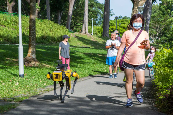 كلب آلي يتجول في متنزهات سنغافورة لحث الناس على التباعد الاجتماعي صورة رقم 14