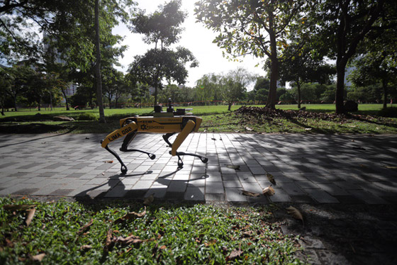 كلب آلي يتجول في متنزهات سنغافورة لحث الناس على التباعد الاجتماعي صورة رقم 15