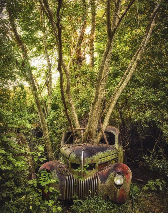 بالصور: مصور يجوب الولايات المتحدة وأوروبا بحثا عن سيارات قديمة مهجورة صورة رقم 2